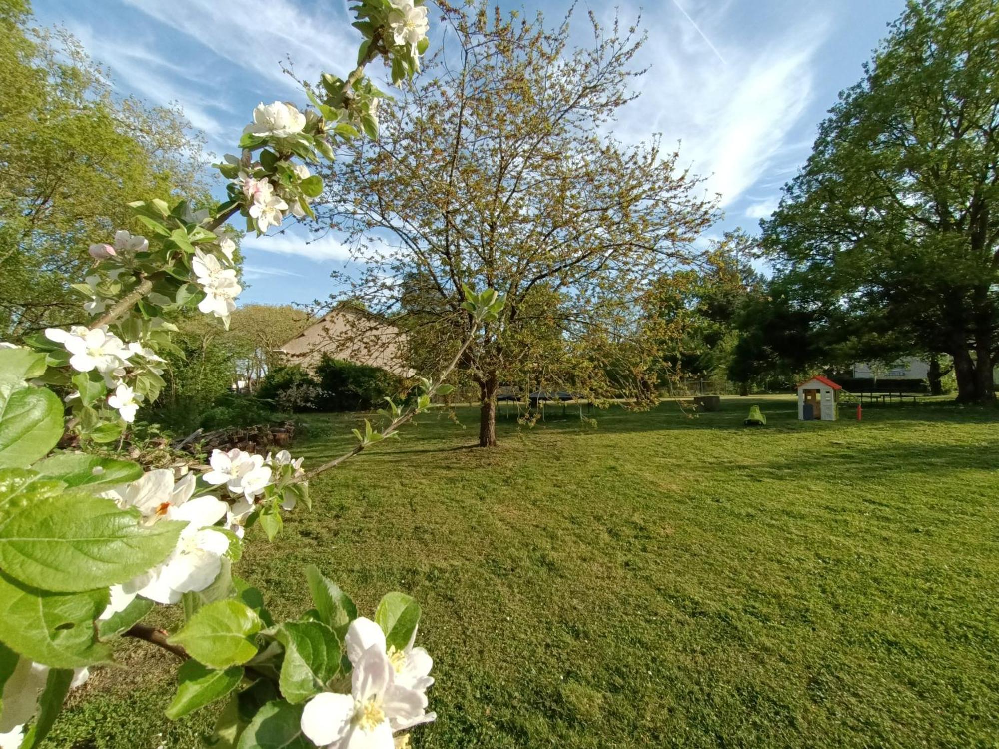 Gite Climatise Villa Esperanza 2 A 5 Personnes Valencay Luaran gambar